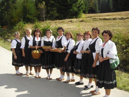V skanzene